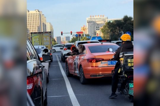 Keturkojų pykčio aistros viduryje gatvės: pamatykite, kaip tai atrodė iš šono