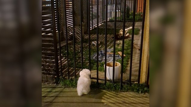 Keturkojo veiksmas suklaidino bičiulį: tik vėliau suprato, ką padarė