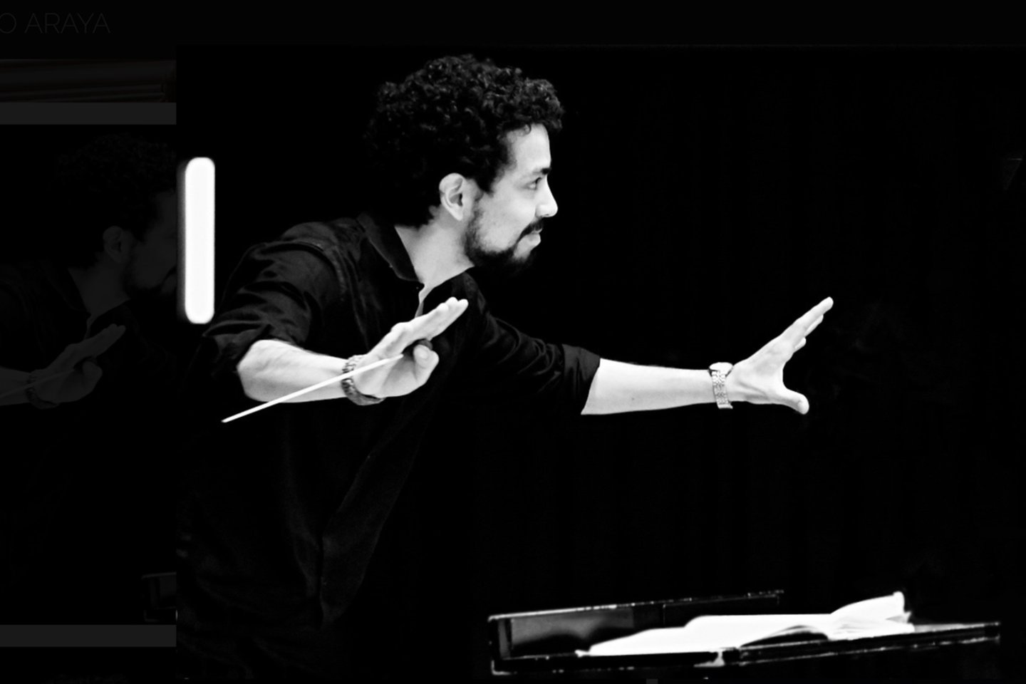 Dirigentas Luisas Toro Araya.<br>Patrick Marek nuotr.