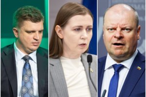 Buvę koalicijos partneriai išsakė, ką galvoja apie D. Šakalienę ir Vyriausybę