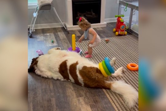 Tikra barbė devyndarbė: štai kaip galima dirbti aukle ir ilsėtis vienu metu