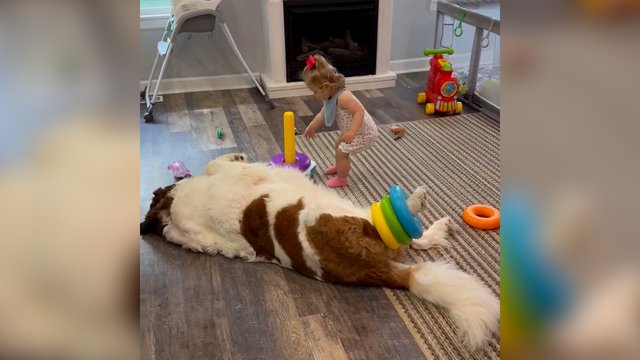 Tikra barbė devyndarbė: štai kaip galima dirbti aukle ir ilsėtis vienu metu