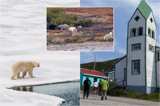 Šio vaizdo turistas nepamirš visą gyvenimą: „Per daugybę metų keliaujant nieko panašaus nebuvau matęs“