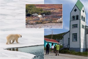 Šio vaizdo turistas nepamirš visą gyvenimą: „Per daugybę metų keliaujant nieko panašaus nebuvau matęs“