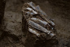 Mokslininkus pradžiuginęs radinys Europoje leidžia pažvelgti į akmens amžiaus pasaulį