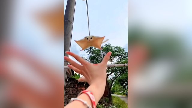 Skraidyti geba ne tik paukščiai: neįtikėtinas voverės šuolis