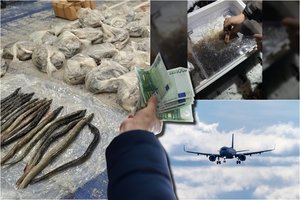 Šių žuvų kontrabanda pelnu prilygsta net narkotikų prekybai: pareigūnų rankose – net 22 tonos šių žuvelių