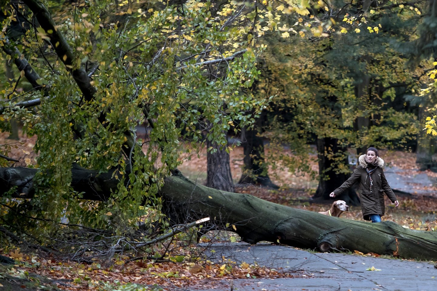Audra Europoje.<br>EPA-ELTA asociatyvi nuotr.