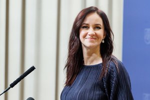 I. Ruginienės patarėjas: būtų naudinga suburti derybinę grupę, kuri kalbėtųsi su kultūrininkais