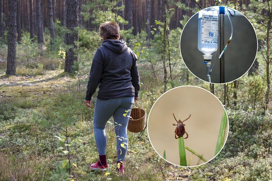 Įspėja apie tykančią grėsmę: dabar – aktyvumo pikas