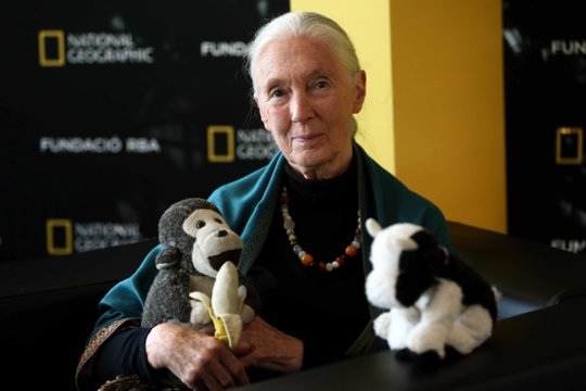 Mirė viena garsiausių pasaulyje mokslininkių – Jane Goodall