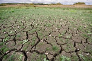 A. Svitojus: žemdirbys pirmiausiai pajaučia klimato kaitos pokyčius