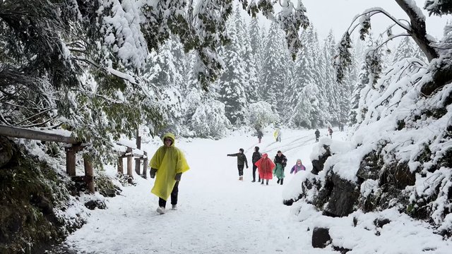 Lietuvių pamėgtuose kalnuose jau žiema: už gražaus vaizdo slypi lavinų pavojus