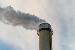 Biokuro kainos šį šildymo sezoną – mažiausios per penkerius metus