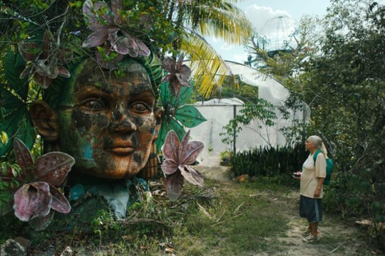 Prasideda festivalis „Lokys, liūtas ir šakelė“ – ką pamatyti rekomenduoja kino kritikai?