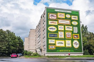 Aleksote – tikras žuvų šou: daugiabutį menininkas pavertė Nemuno enciklopedija