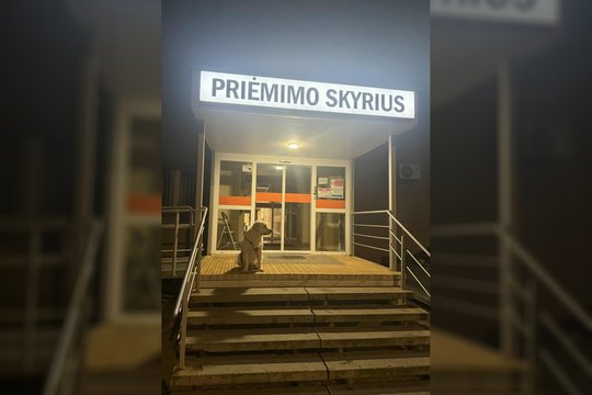 Prie ligoninės užfiksavo laukiantį šunelį – kadras ir žinia sulaukė daugybės reakcijų