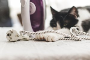 Paaiškino, kodėl katės kramto laidus ir kaip nuo to atpratinti