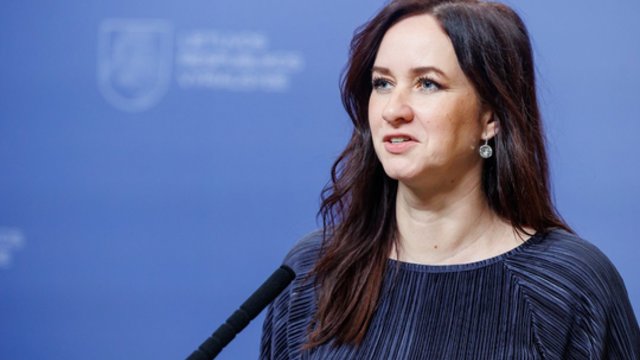 I. Adomavičiaus pasisakymus I. Ruginienė vadina siurprizu: man gėda