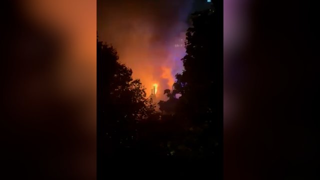 Žinomas gamtininkas liko be stogo virš galvos: užfiksavo gaisro sostinėje vaizdus