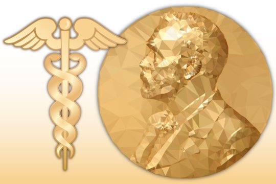 2025 metų Medicinos ir Fiziologijos Nobelio premija – už imuniteto tyrimus
