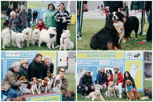 Vilniuje šimtai gyvūnų mylėtojų su augintiniais pramogavo ir švietėsi