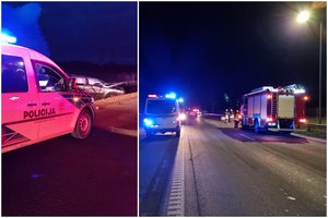 Siaubingos mirtinos avarijos autostradoje detalės: variklis atsiskyręs, kūnas aukštoje žolėje rastas kone po pusvalandžio