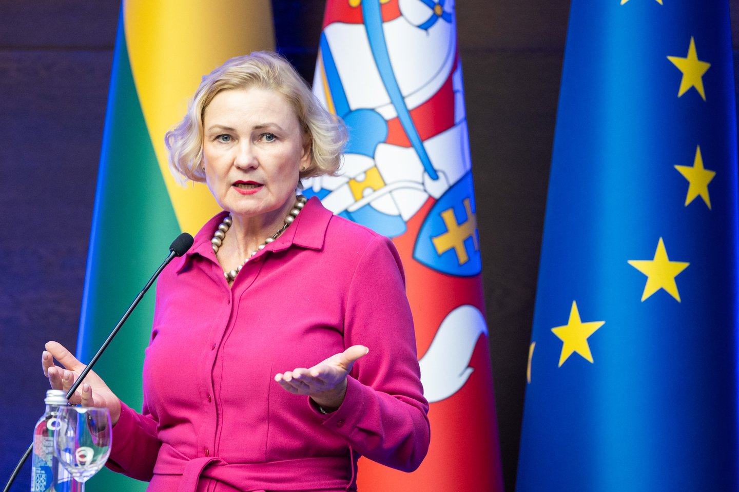 R.Vainienė.<br>T.Bauro nuotr.