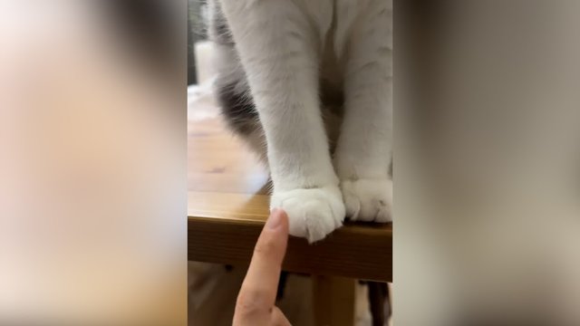 Keturkojis neapsikentė pasikartojančio veiksmo: pademonstravęs charakterį sudavė griežtą atsaką