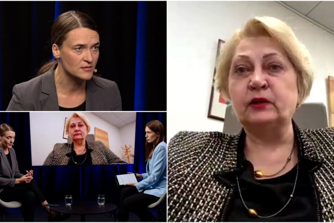 Koalicijoje daugėja klausimų: tyrimas dėl I. Adomavičiaus ir neatskleistas kandidatas į kultūros ministrus