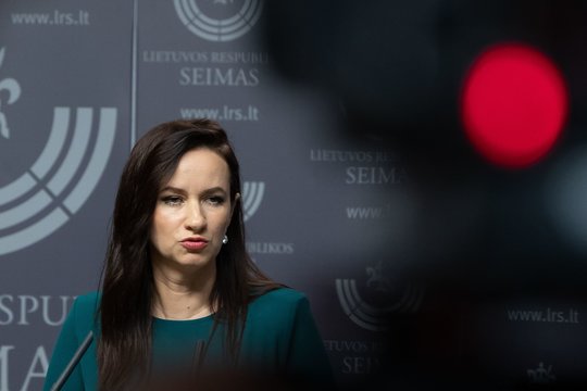 I. Ruginienė neketina pradėti ministerijų mainų: svarbiausia – Vyriausybės stabilumas 