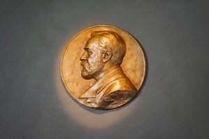 Mokslininkas apie šių metų chemijos Nobelio premiją: tarsi „Hermionos rankinukas“ – mažas išorėje, didelis viduje