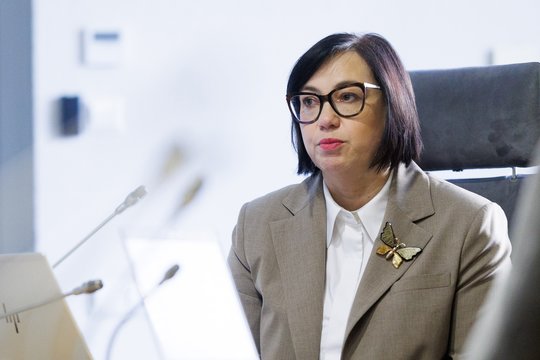 R. Popovienė ramina sporto bendruomenę dėl NSA panaikinimo: pakeitimai ne tokie dideli