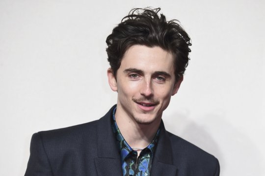 Aktorius Timothee Chalametas pribloškė kardinaliais išvaizdos pokyčiais