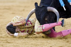 Paskutiniai buliaus nudurto matadoro žodžiai spaudžia širdį