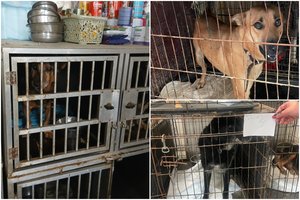 „Penktai kojai“ – dar vienas smūgis: nusisuka suomiai