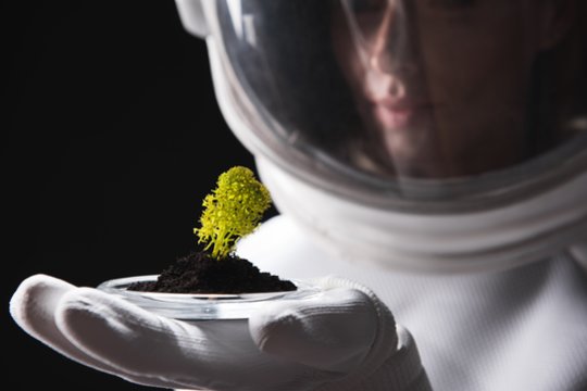 Sukūrė naują planetos gyvybingumo įvertinimo metriką