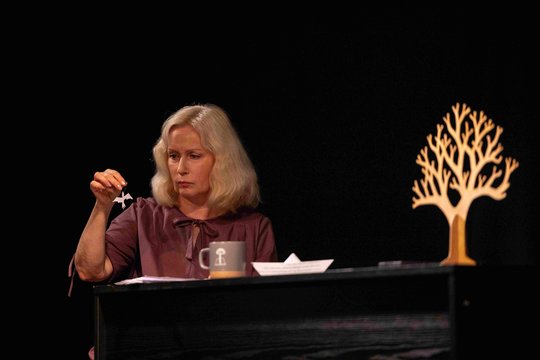 Aktorinio meno salos:  monospektaklių festivaliui „Mano / mono“ pasibaigus