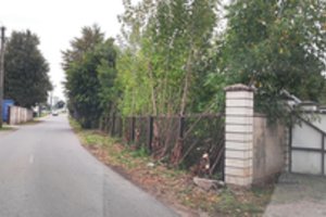 Kai parašai krenta lėčiau nei lapai: pagalbos dėl medžių laukė net du mėnesius