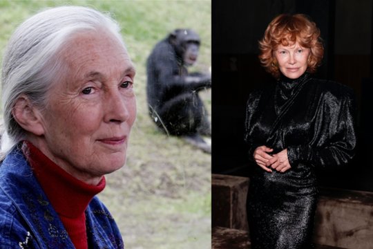 Žvaigždžių savaitėje – garsiausios primatologės J. Goodall mirtis ir stulbinantys P. Anderson pokyčiai