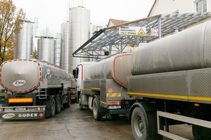 Skelbia, kiek šiemet išaugo „Vilvi Group“ pardavimų pajamos