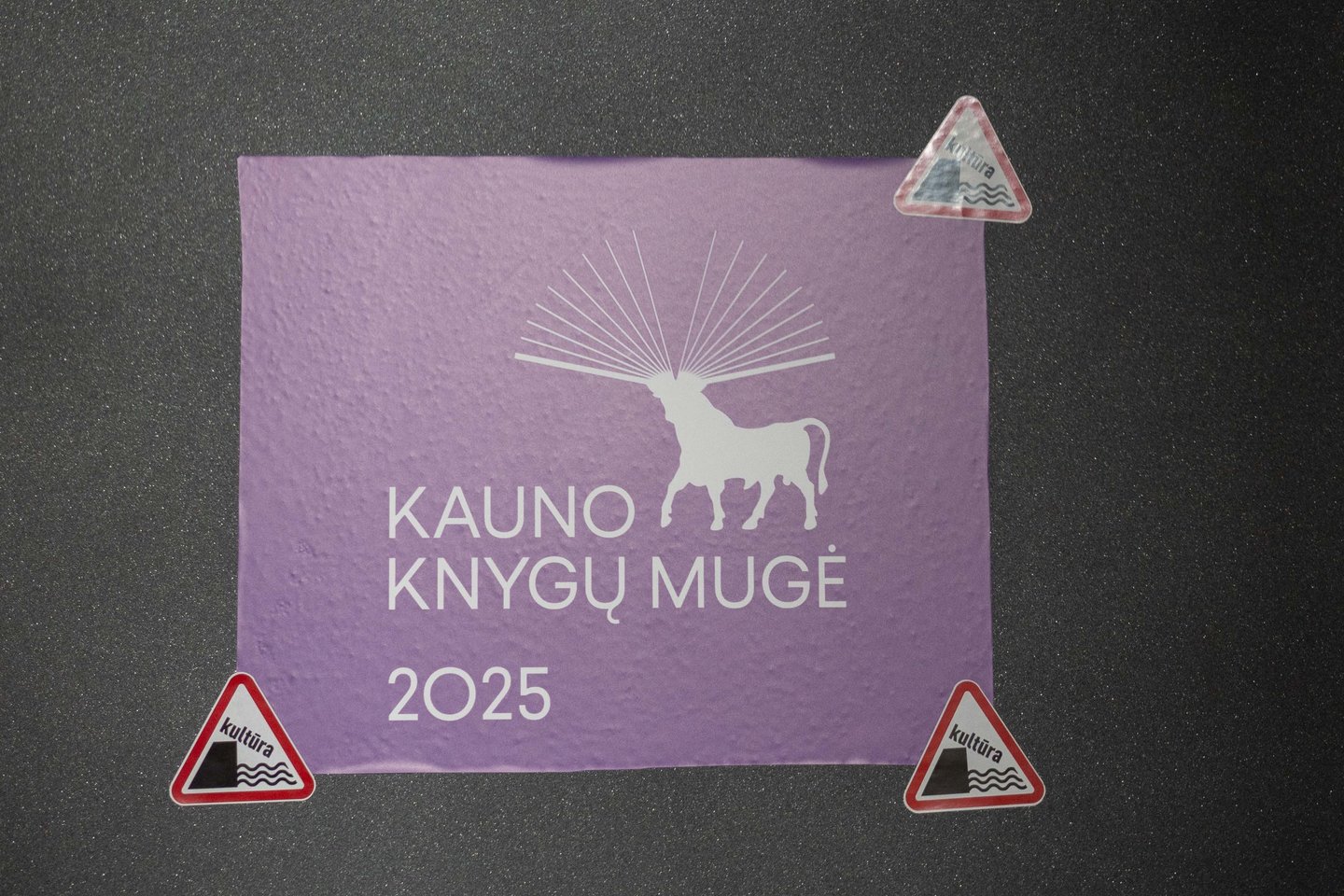 Kauno knygų mugė vyks visą savaitgalį.<br>G.Bitvinsko nuotr.