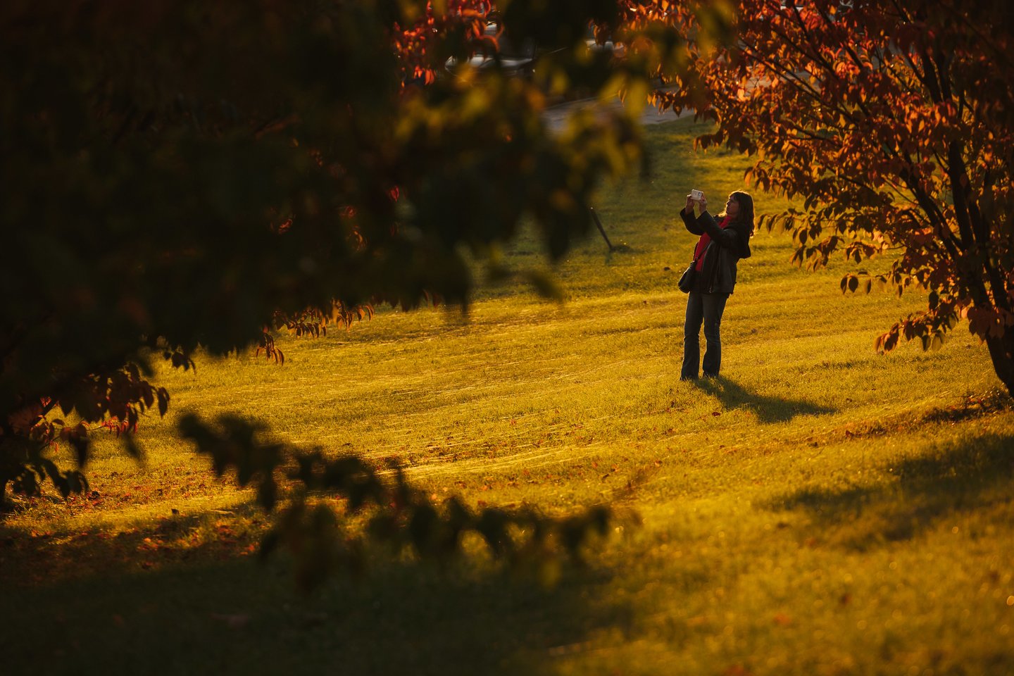 Auksinis ruduo Vilniuje. <br>A.Ufarto (ELTA) nuotr. 