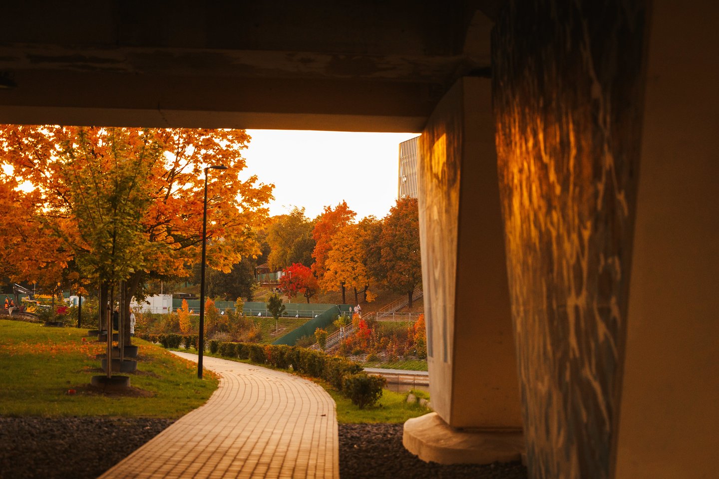 Auksinis ruduo Vilniuje. <br>A.Ufarto (ELTA) nuotr. 