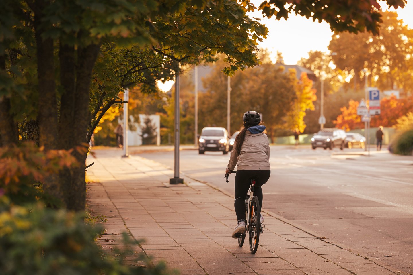 Auksinis ruduo Vilniuje. <br>A.Ufarto (ELTA) nuotr. 