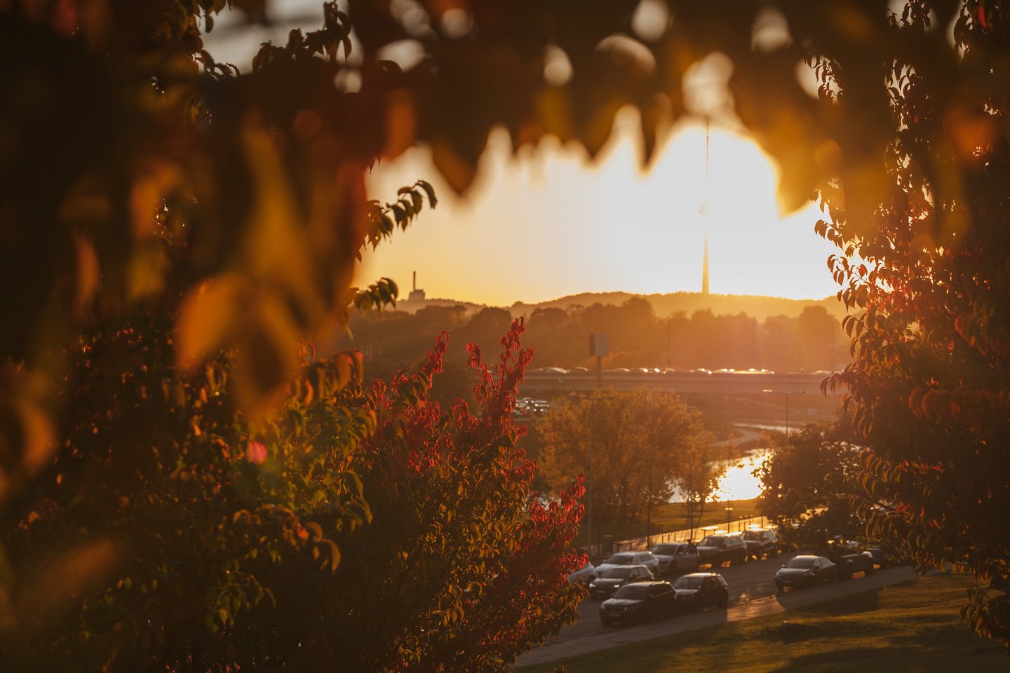 Auksinis ruduo Vilniuje. <br>A.Ufarto (ELTA) nuotr. 