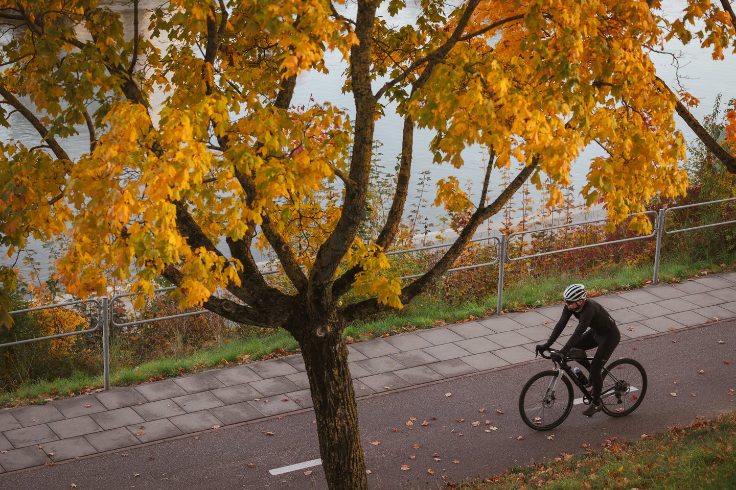 Auksinis ruduo Vilniuje. <br>A.Ufarto (ELTA) nuotr. 