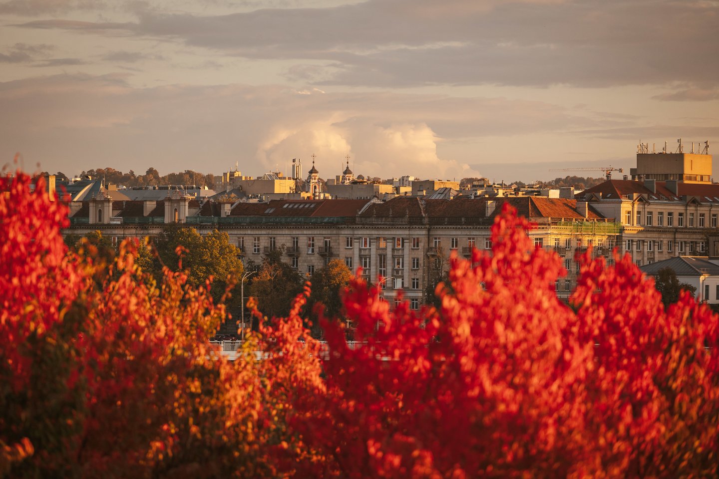 Auksinis ruduo Vilniuje. <br>A.Ufarto (ELTA) nuotr. 