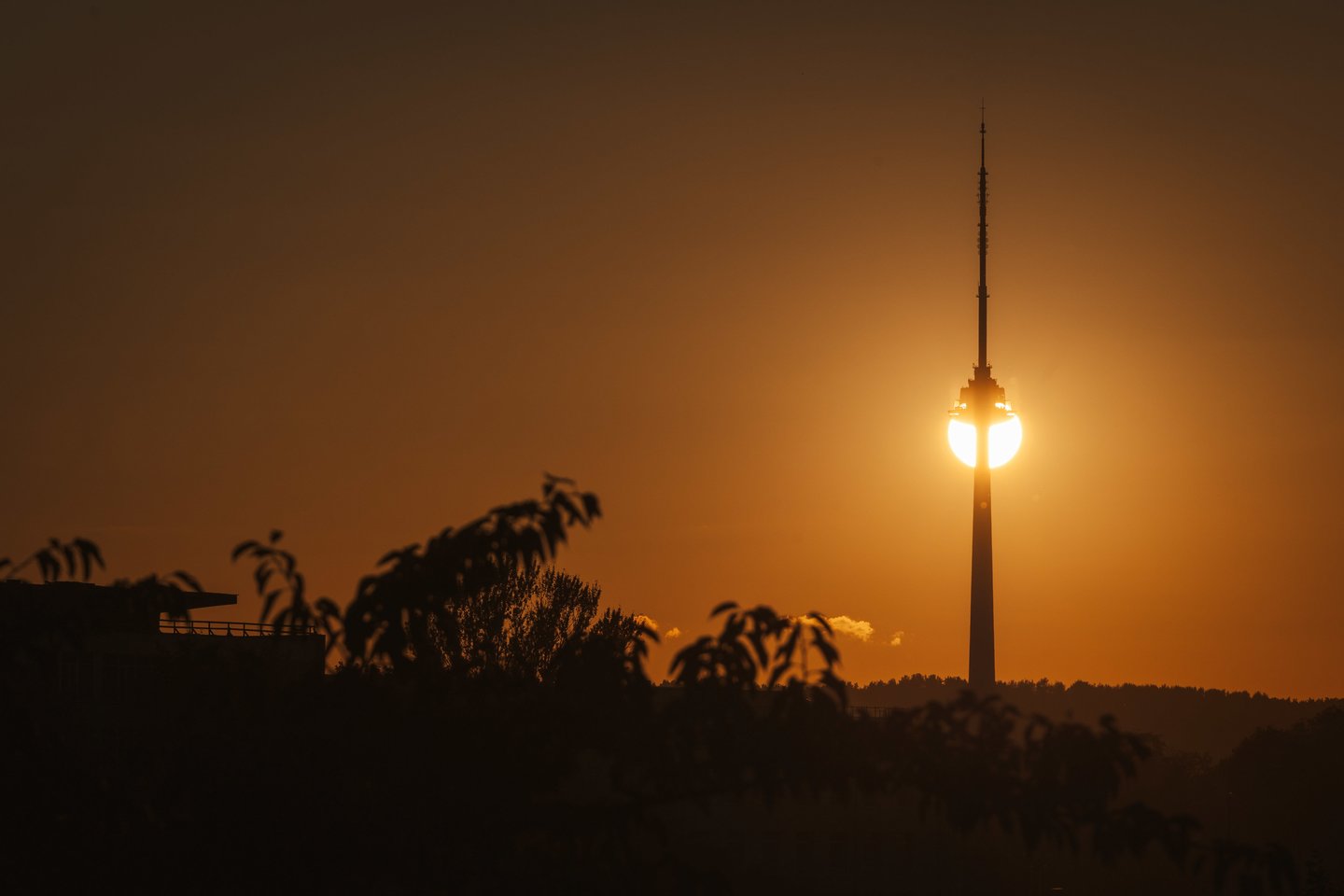 Auksinis ruduo Vilniuje. <br>A.Ufarto (ELTA) nuotr. 