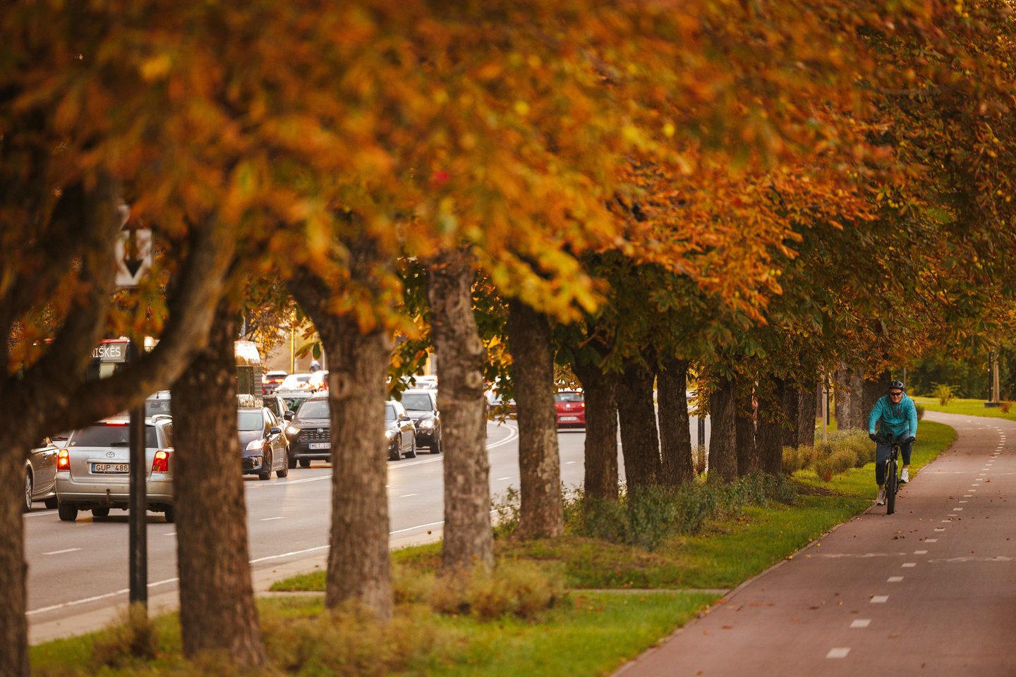 Auksinis ruduo Vilniuje. <br>A.Ufarto (ELTA) nuotr. 